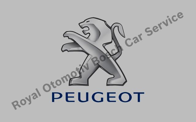 Zonguldak Peugeot Servisi